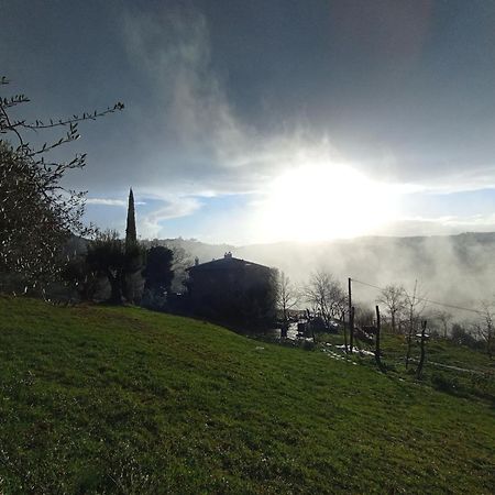 Agriturismo Il Poggio Degli Scoiattoli Perugia Exterior foto
